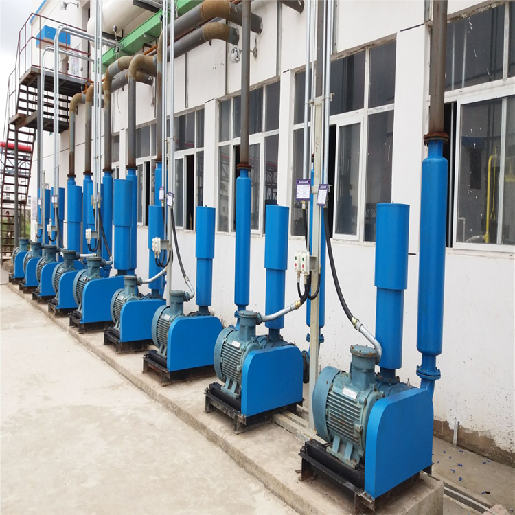 Pneumatic conveying system of a chemical plant in Shanxi