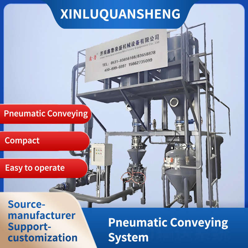 Pneumatic conveying system