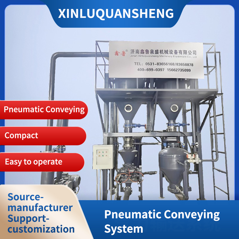 Pneumatic conveying system